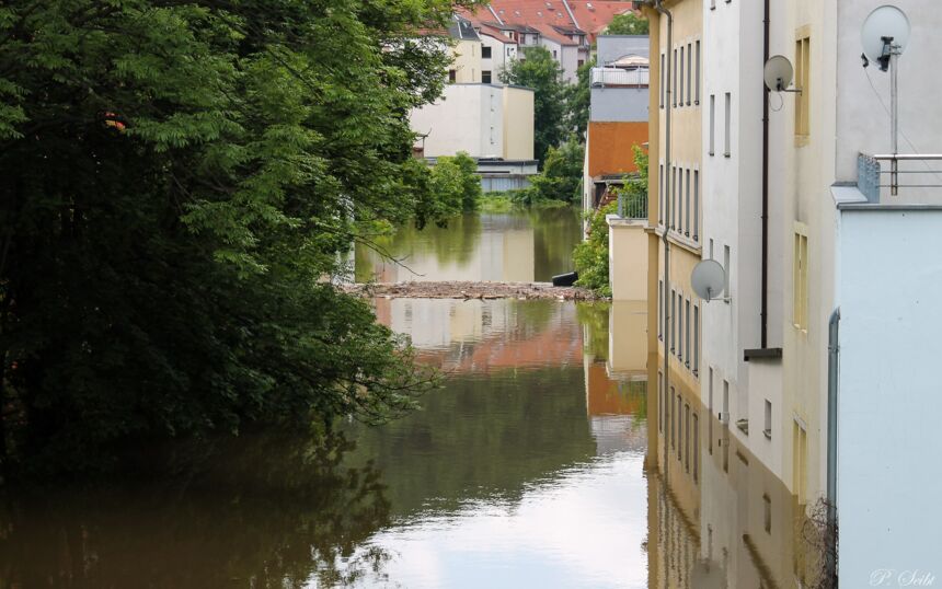 Elbe-Hochwasser 2013 in Meißen, Triebisch und Nicolaisteg