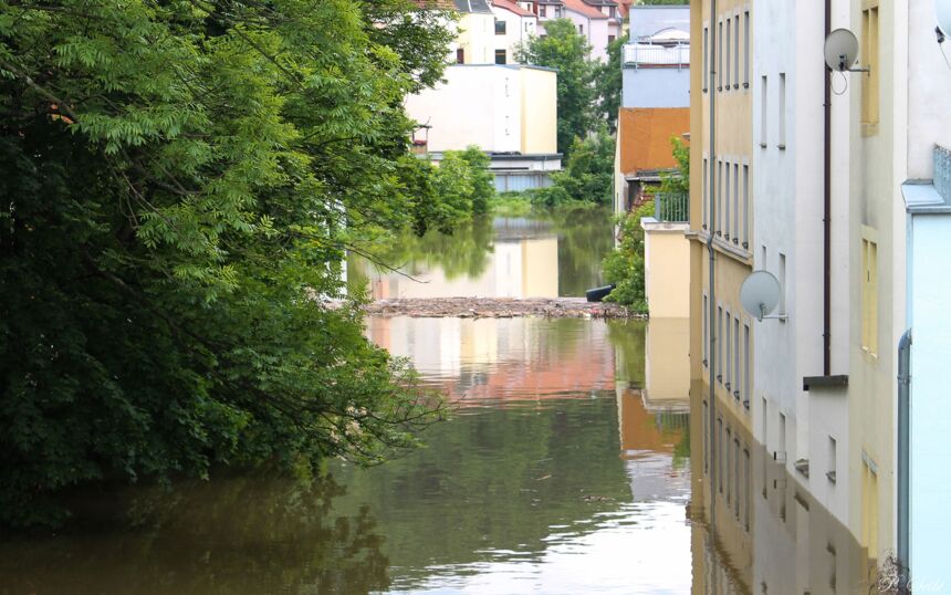Elbe-Hochwasser 2013 in Meißen, Triebisch und Nicolaisteg
