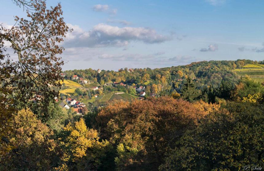 Meißen im Herbst von Schloss Siebeneichen
