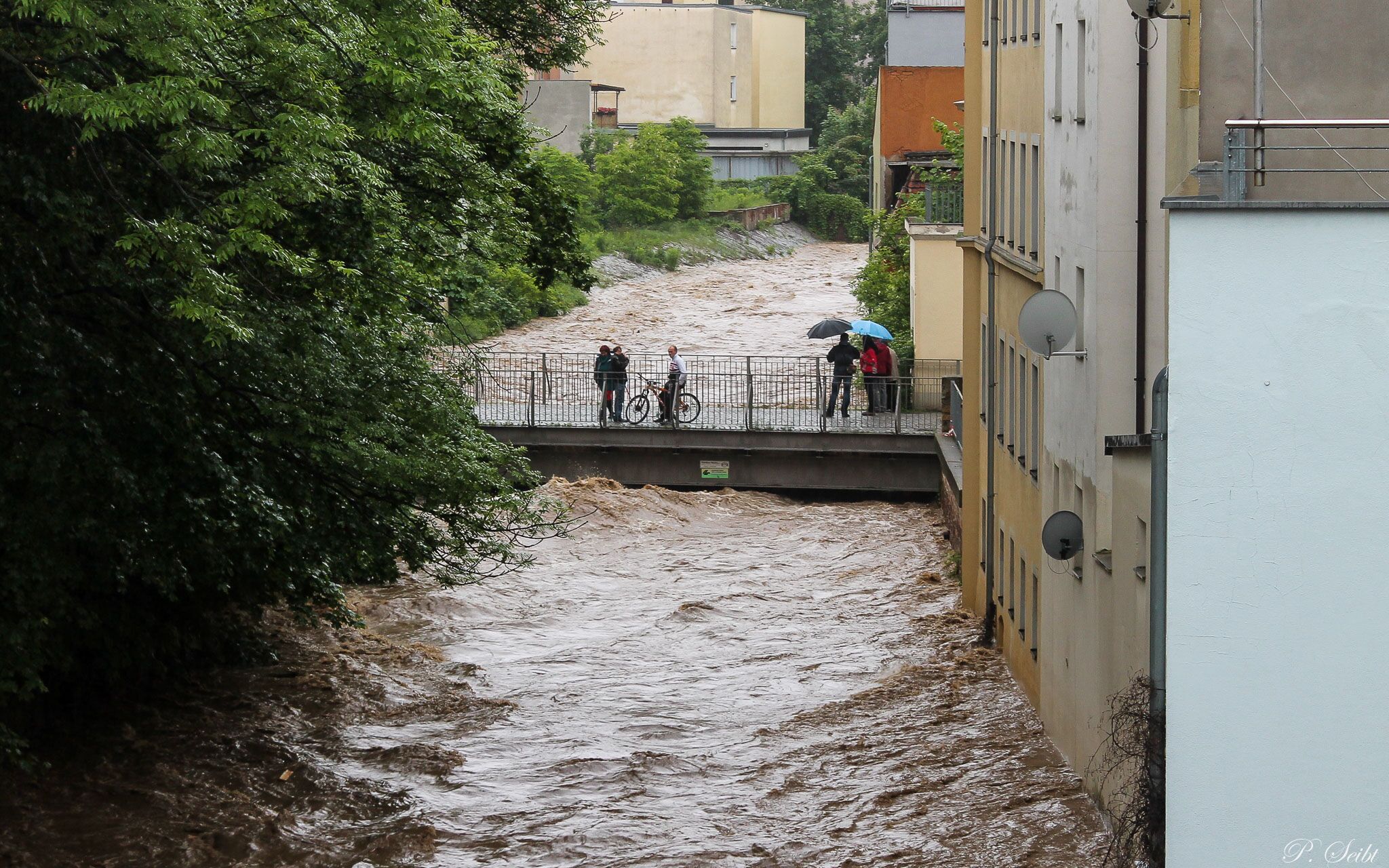 Elbe-Hochwasser 2013 in Meißen, Triebisch als reißender Fluss